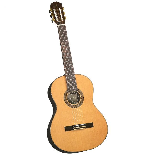 best acoustic guitar review - J. Navarro NC-61