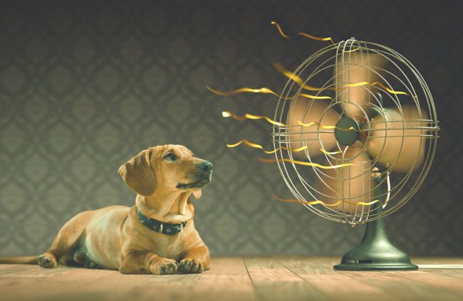 Use electric Fans to Lower the Cost of Cooling