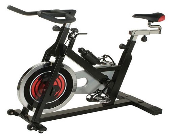 Best Spin Bike - Phoenix 98623 Revolution Cycle