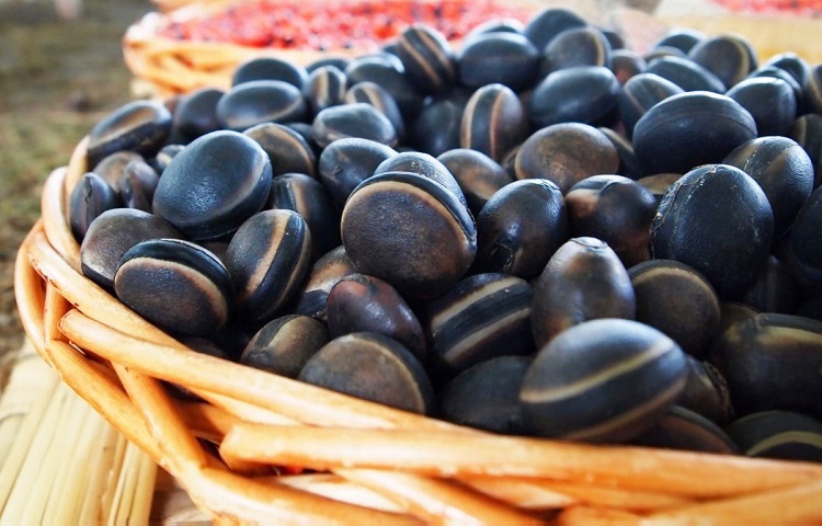 Benefits of Mucuna Pruriens